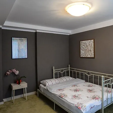 Daiana's Downtown Lejlighed Timişoara